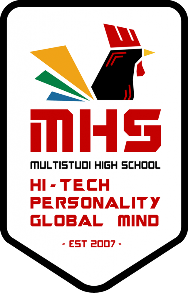 partner mhs
